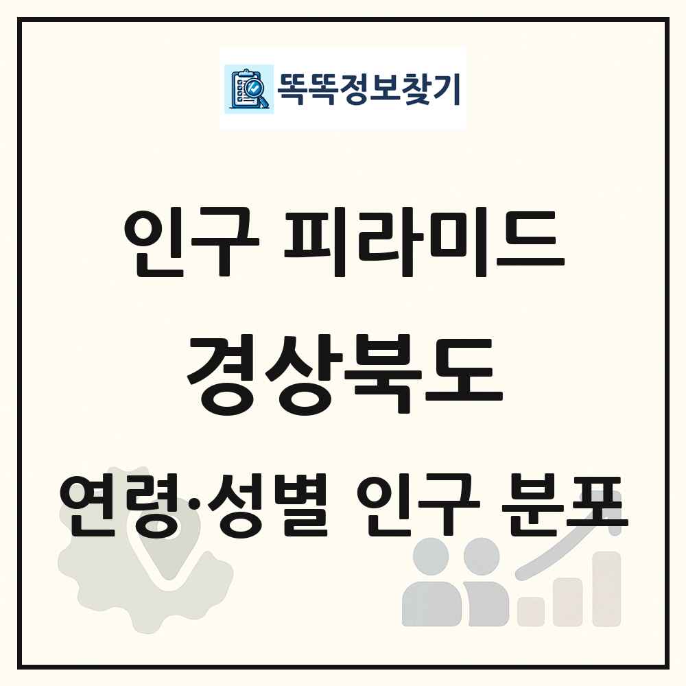 경상북도 인구 피라미드 링크 그림